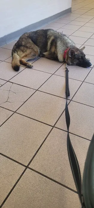 Eagle Glen Veterinary Clinic Picture 6