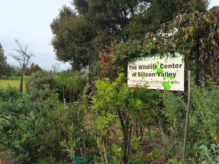 Peninsula Humane Society & SPCA (formerly Wildlife Center of Silicon Valley) Picture 1