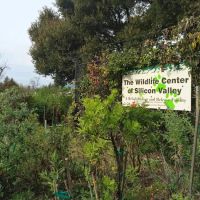 Peninsula Humane Society & SPCA (formerly Wildlife Center of Silicon Valley) ico