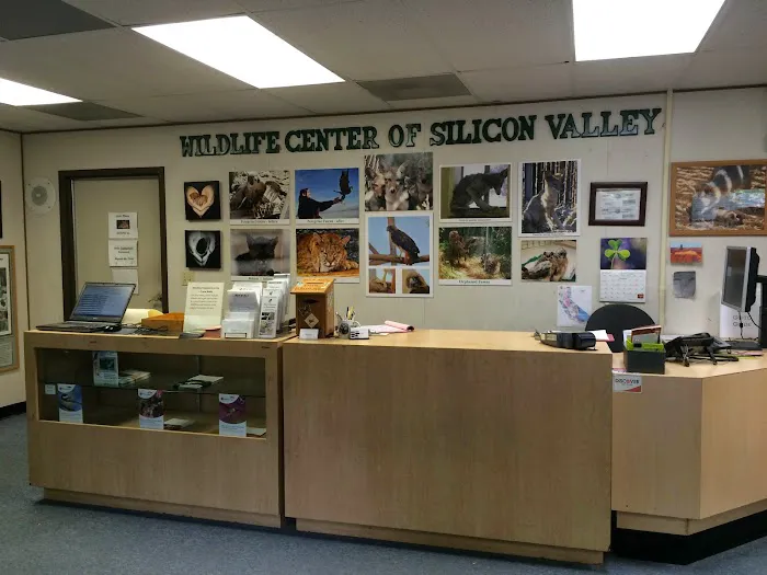 Peninsula Humane Society & SPCA (formerly Wildlife Center of Silicon Valley) Picture 9