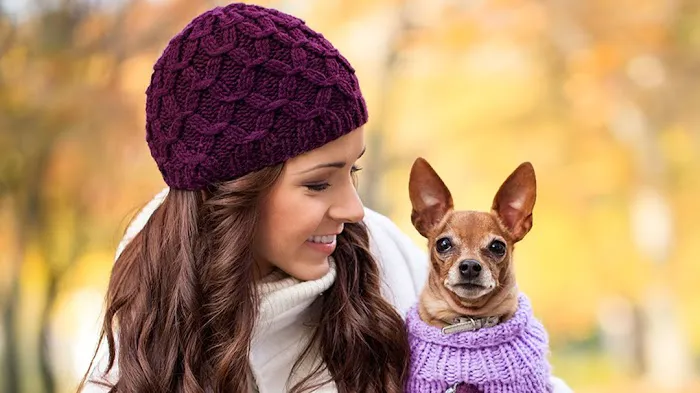 Pet Care Animal Hospital Picture 2