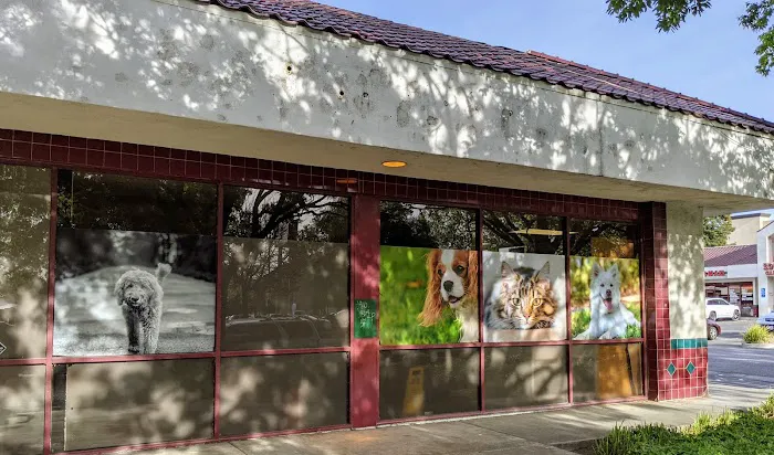 Pet Care Animal Hospital Picture 5