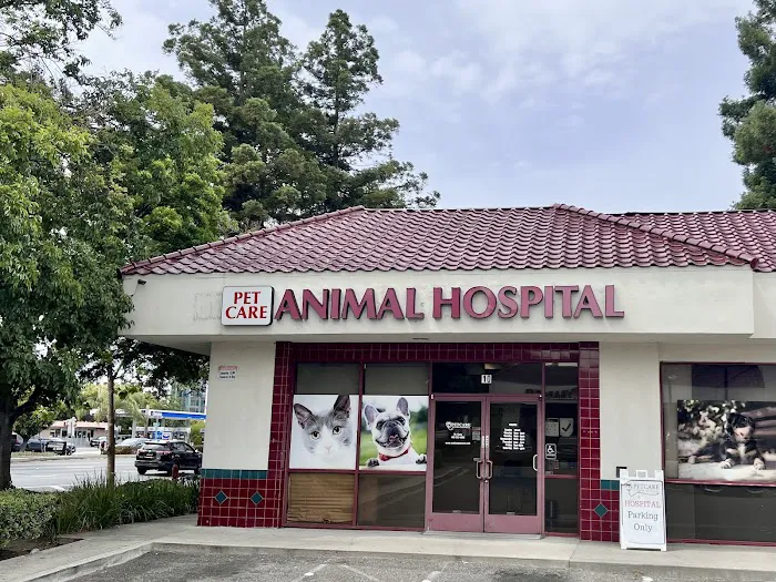 Pet Care Animal Hospital Picture 8