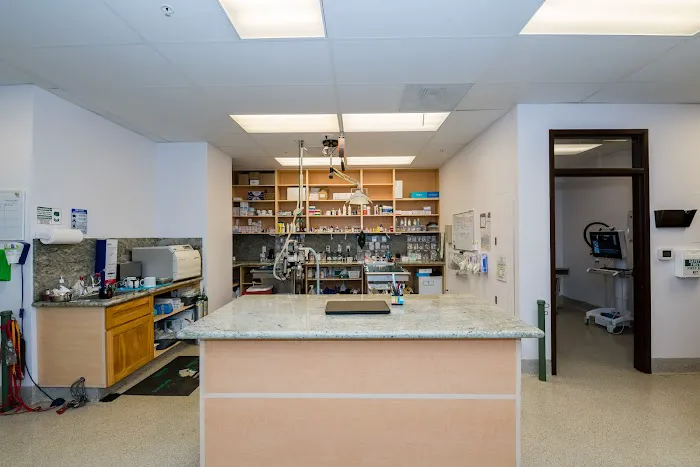Advanced Veterinary Medical Center Picture 2