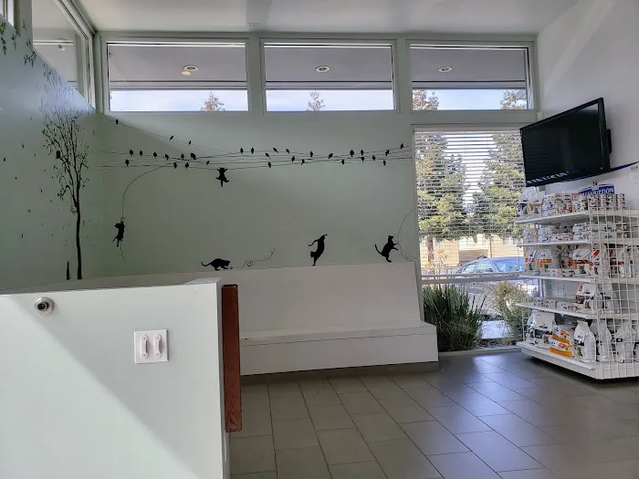 Piedmont Hills Animal Hospital Picture 1