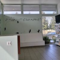 Piedmont Hills Animal Hospital ico