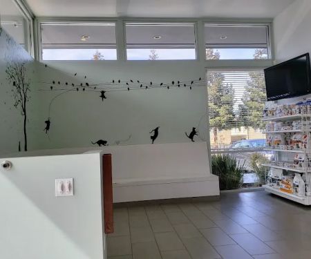 Piedmont Hills Animal Hospital