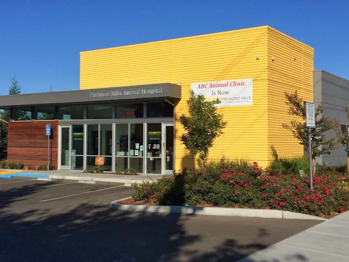 Piedmont Hills Animal Hospital Picture 3