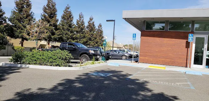Piedmont Hills Animal Hospital Picture 5