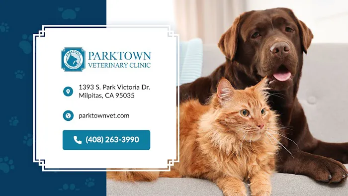 Parktown Veterinary Clinic Picture 2