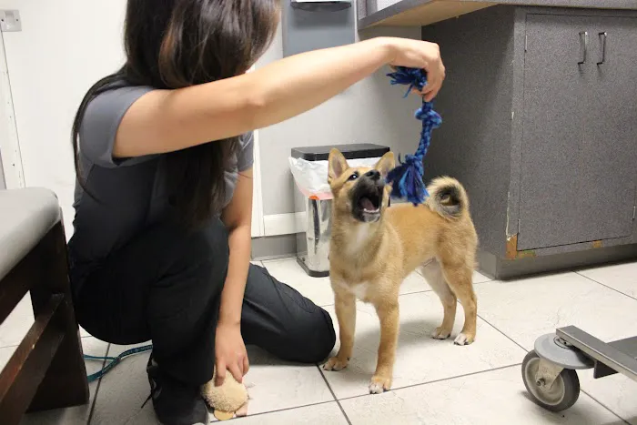Parktown Veterinary Clinic Picture 6