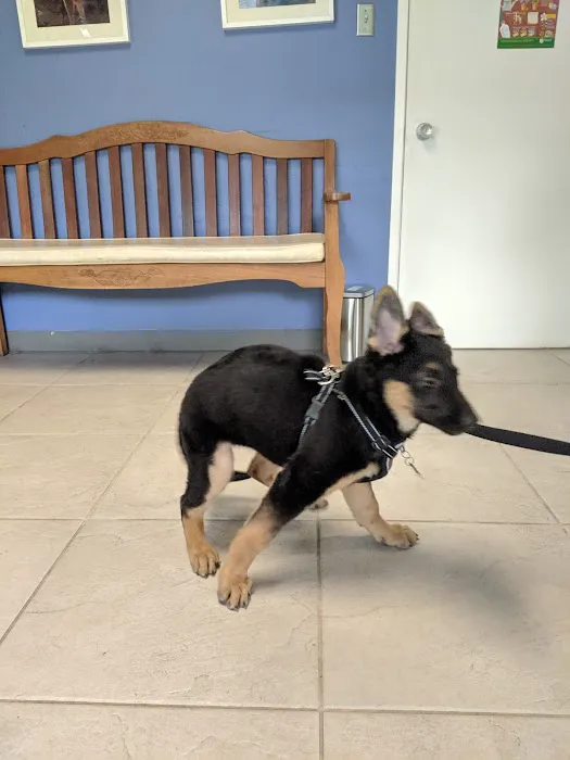 Parktown Veterinary Clinic Picture 8