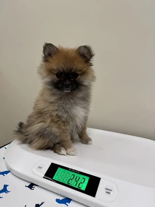 Vetco Total Care Animal Hospital Picture 5
