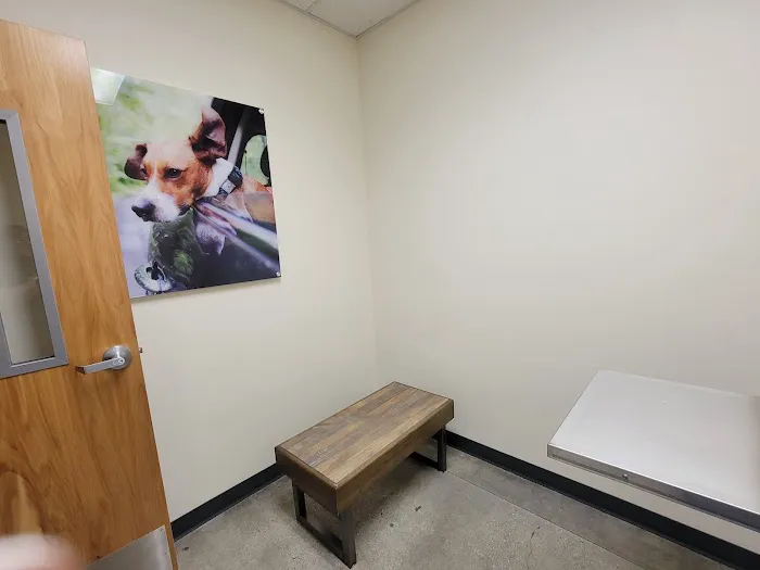 Vetco Total Care Animal Hospital Picture 6
