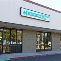 Evergreen Veterinary Clinic ico