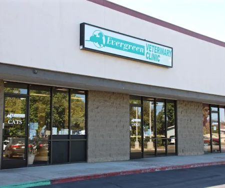 Evergreen Veterinary Clinic