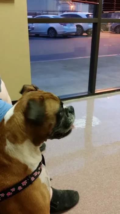 Evergreen Veterinary Clinic Picture 10