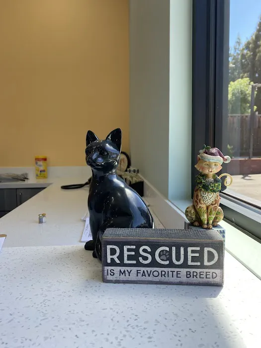 Aborn Pet Clinic Picture 10