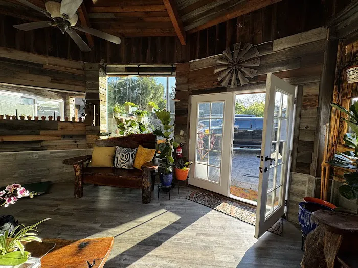 Rancho Vet and Grooming Services Picture 2