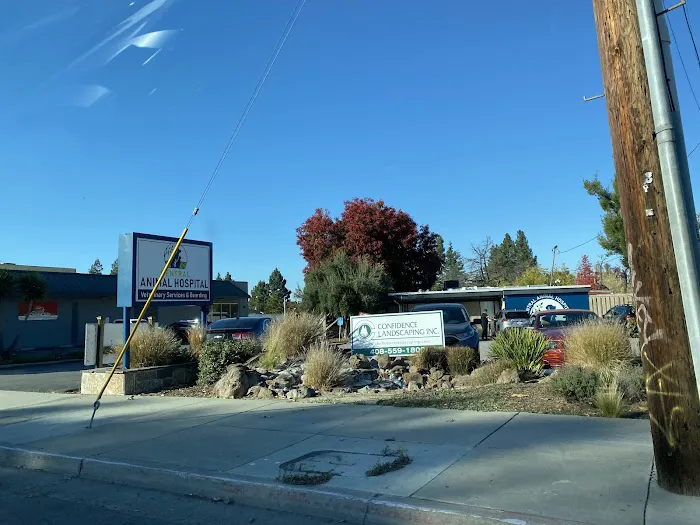 Central Animal Hospital Picture 2