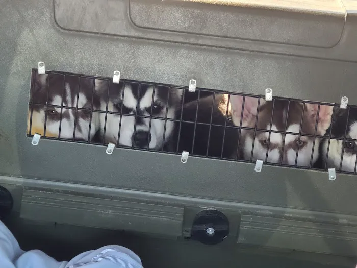 Central Animal Hospital Picture 4