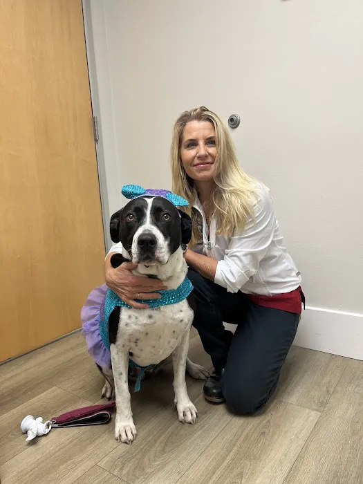 Reed Animal Hospital Picture 1
