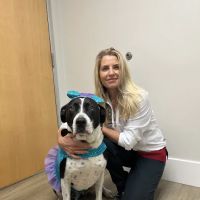 Reed Animal Hospital ico