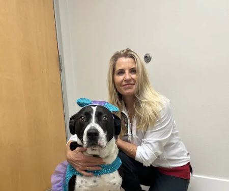 Reed Animal Hospital