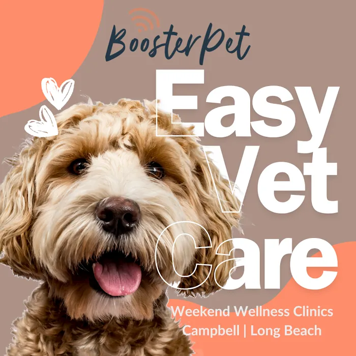 BoosterPet Weekend Wellness Veterinary Clinic in Campbell Picture 3