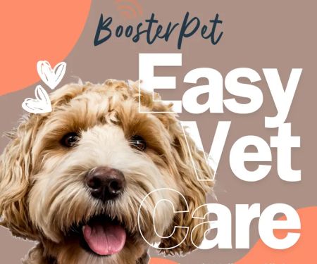 BoosterPet Weekend Wellness Veterinary Clinic in Campbell
