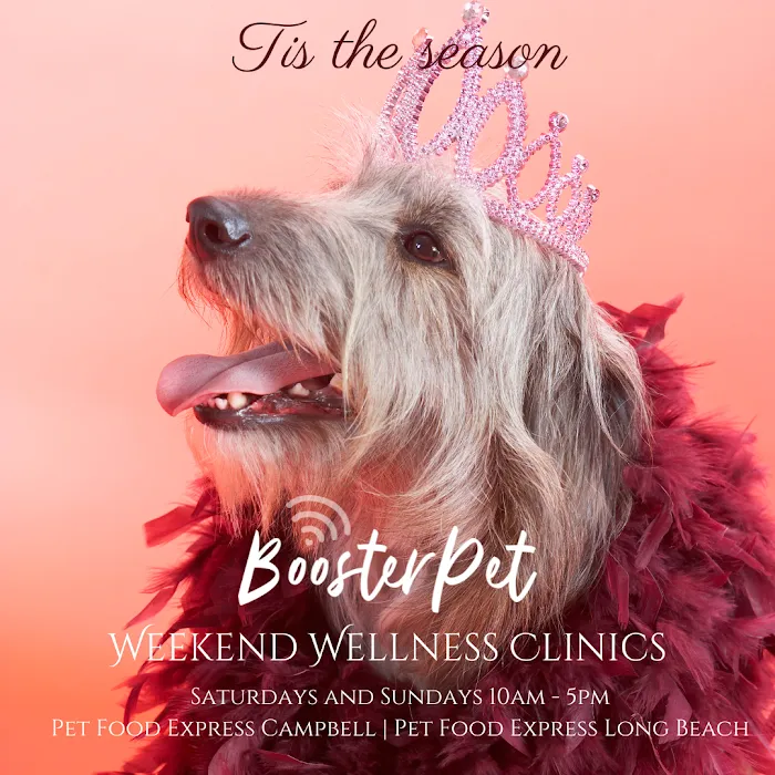 BoosterPet Weekend Wellness Veterinary Clinic in Campbell Picture 2
