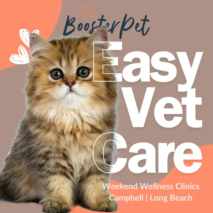 BoosterPet Weekend Wellness Veterinary Clinic in Campbell Picture 5