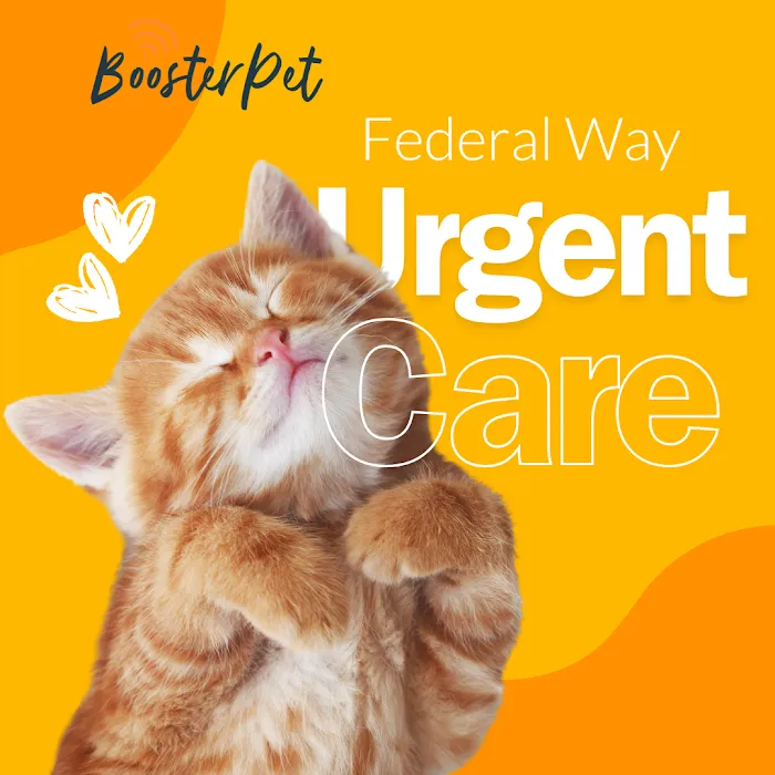 BoosterPet Weekend Wellness Veterinary Clinic in Campbell Picture 10