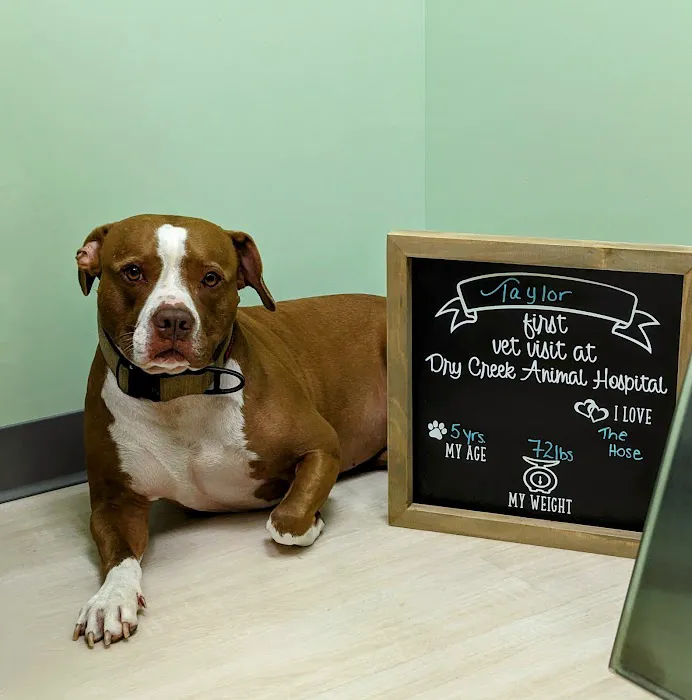 Dry Creek Animal Hospital Picture 1