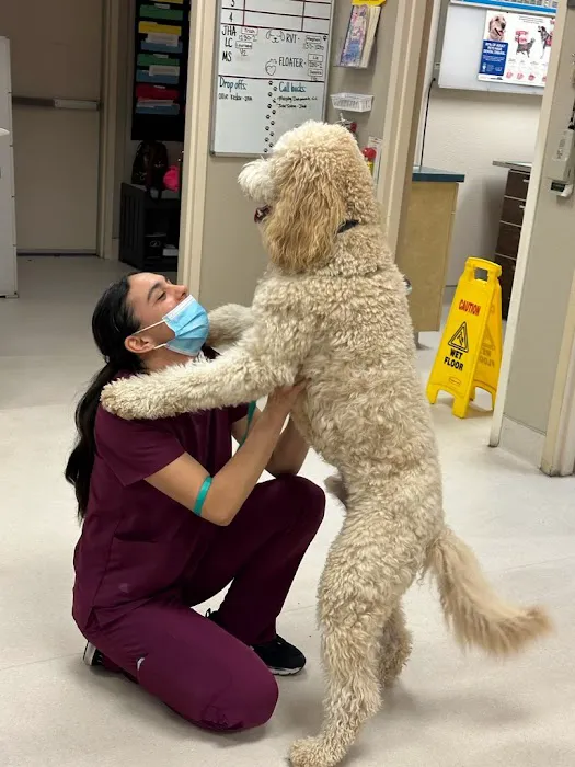 Dry Creek Animal Hospital Picture 6