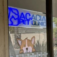 Acacia Pet Hospital of San Jose ico