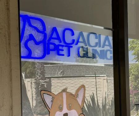 Acacia Pet Hospital of San Jose