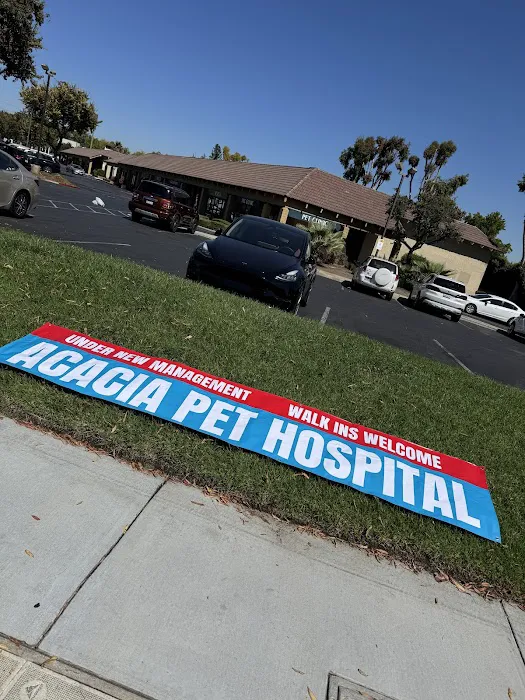 Acacia Pet Hospital of San Jose Picture 7