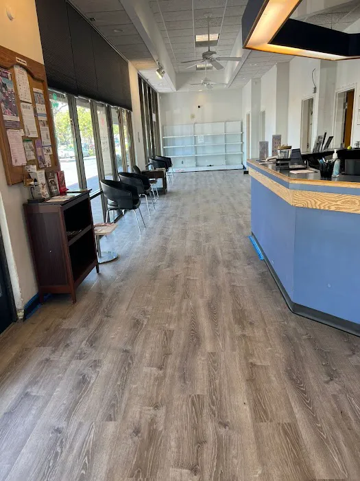 Acacia Pet Hospital of San Jose Picture 9