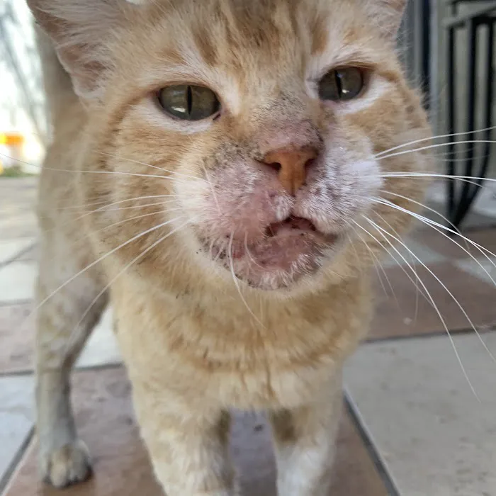 Banfield Pet Hospital Picture 4