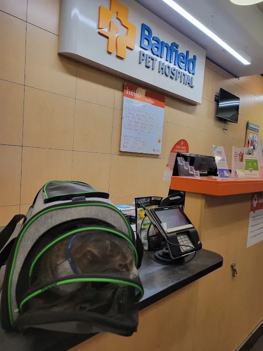 Banfield Pet Hospital Picture 7