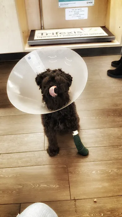Banfield Pet Hospital Picture 10