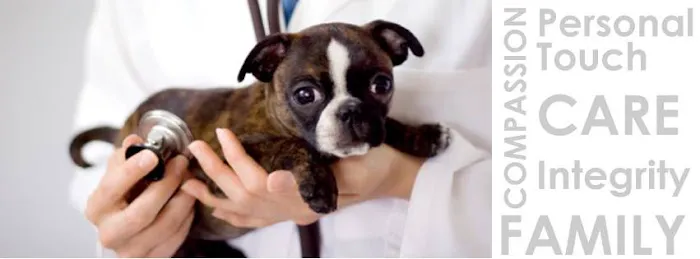 Oakridge Veterinary Clinic Picture 2