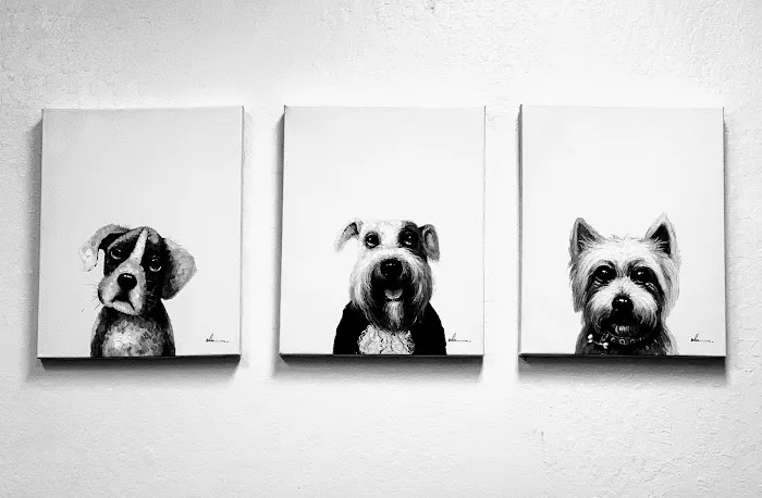 Oakridge Veterinary Clinic Picture 4