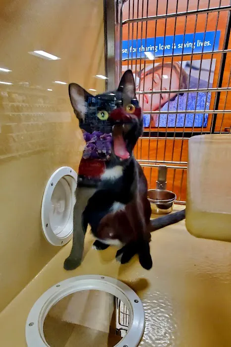 Banfield Pet Hospital Picture 2