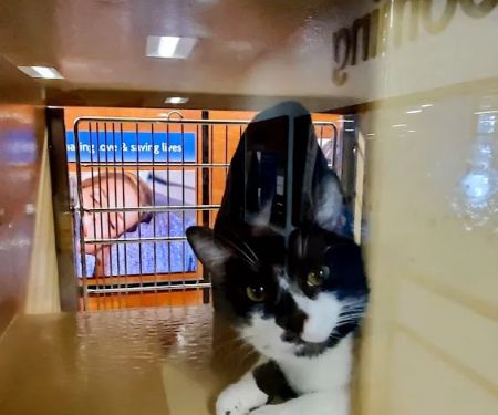 Banfield Pet Hospital