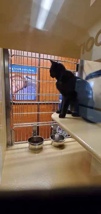 Banfield Pet Hospital Picture 7