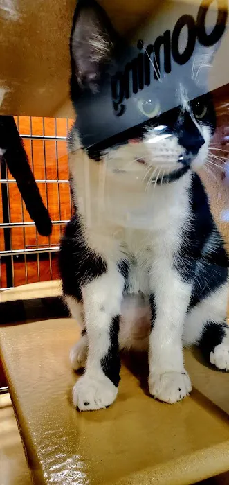 Banfield Pet Hospital Picture 10