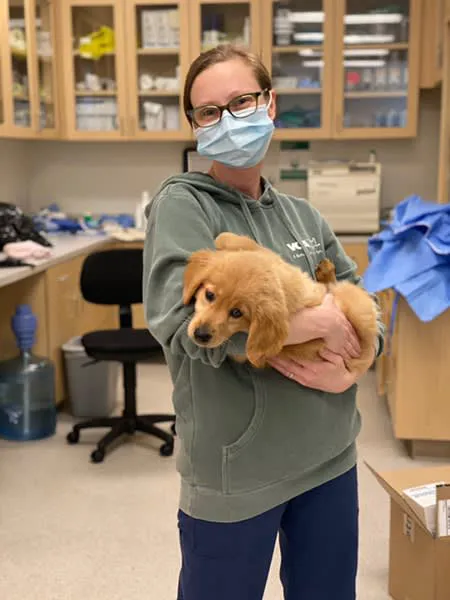 VCA Blossom Hill Animal Hospital Picture 4