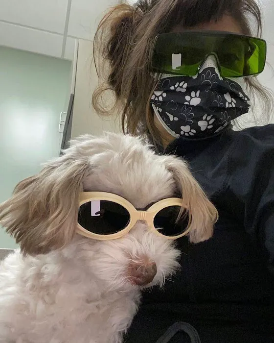VCA Blossom Hill Animal Hospital Picture 7